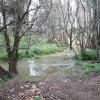 Cabramatta Creek off Eureka Cres, Green Valley where kids played (Janny Ely)